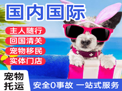 海西德令哈空运代理国际宠物托运 【国